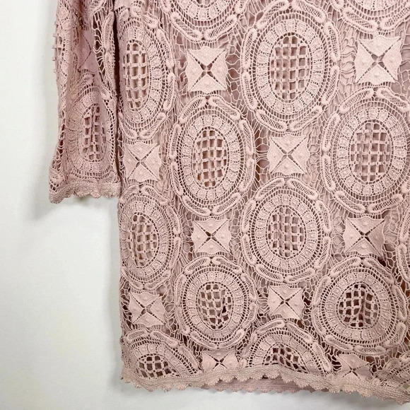 French Connection Lark Rise Crochet Dress  In Dusty Rose Color - Picture 7 of 14
